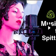 LEWITT music  challenge feat. Spitting Ibex. “The Seeds of your Sorrow”