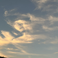 Immaculate Constellation