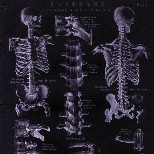 isabel larosa - haunted  [ sped up - lyrics ]