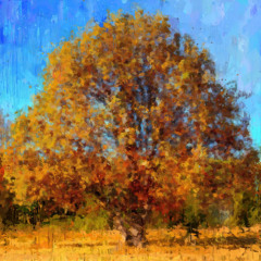 The Old Oak Tree