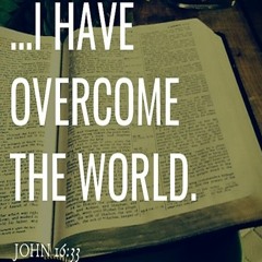 I have overcome the world (John 16:33) - Fr. Shenouda Meleka