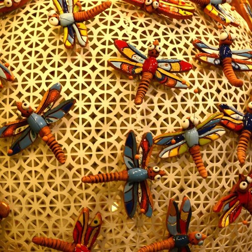 How Can Solution Focus Shape Self - Organisation