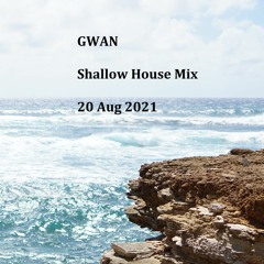 Shallow House Mix 1