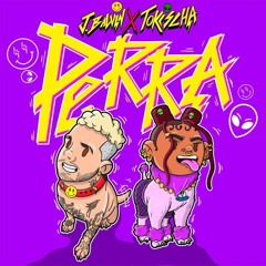 J Balvin X Tokischa - Perra (2DEEP Remix)