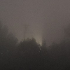 Lacrimosa (Mournful) Mozart