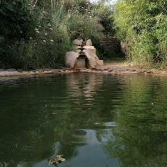 Sarayah Mhonai - Kokorokoo.m4a