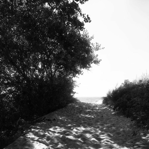 Paul A. George - Solitude (Original)