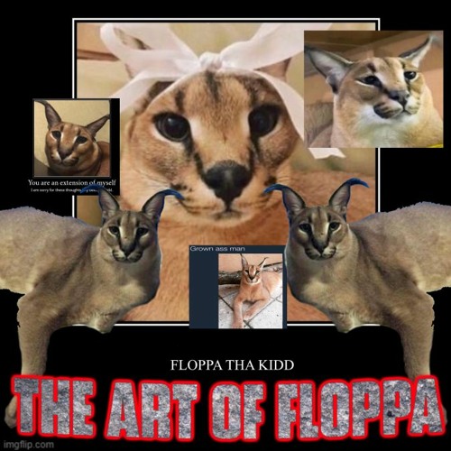 FLOPPA NO - Imgflip
