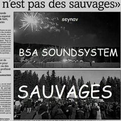 BSA Soundsystem - Sauvages (Swiss Armageddon 2022)