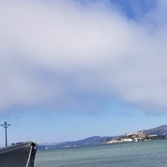 Foxtails - Every Window in Alcatraz Has a View of San Francisco (II)(Cover)