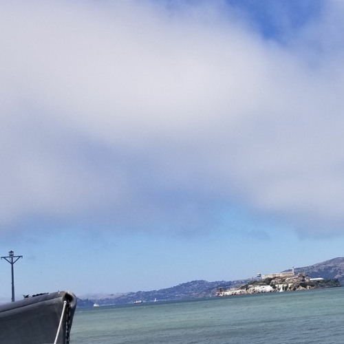 Foxtails - Every Window in Alcatraz Has a View of San Francisco (II)(Cover)
