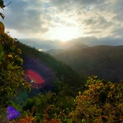 14 - CAPITULO 5 - LENGUA - DAMANA