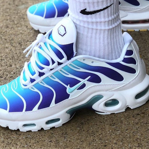 paire de tn nike