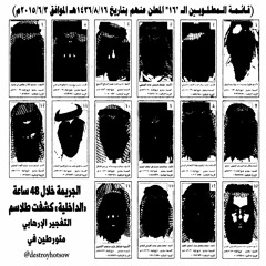 Desert Eagle (Visuals in Description)