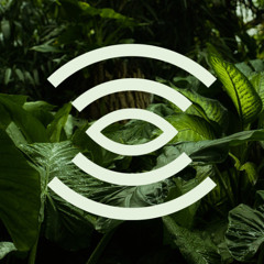 Botanika ∞ Sound Installation - 00 - Adolfo Dominguez Ikigai