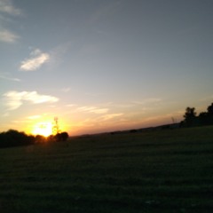 блядей не возим