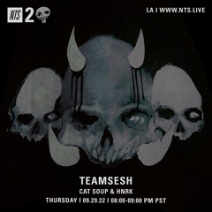 TeamSesh NTS 29th September 2022: cat soup & hnrk