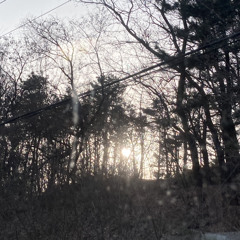 봄의 침묵