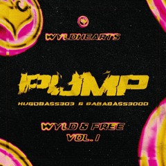 PREMIERE: HugoBass303, BabaBass3000 - Pump