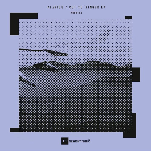 [PREMIERE] | Alarico – Fast Paced [NRDR114]