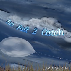 Too Fast 2 Catch