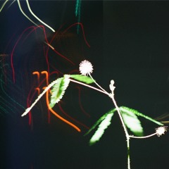 Night Things…