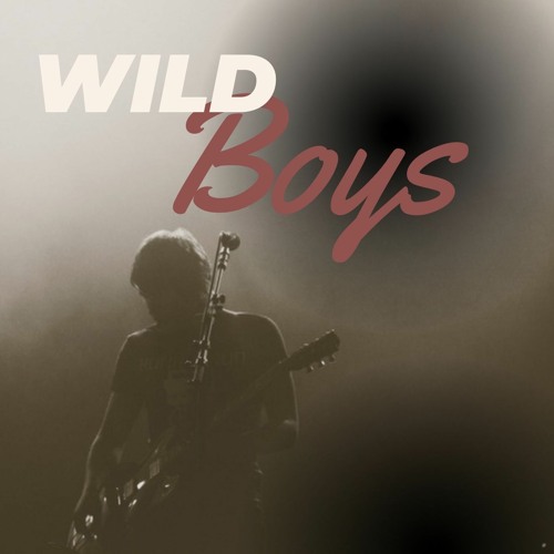 Wild shop boys stream