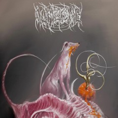 UNZONE - Your Shadow Is The Lake (Out now)