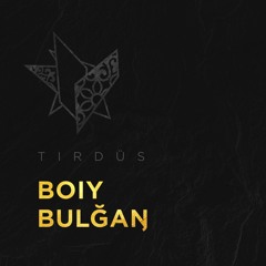 Boiy Bulgan