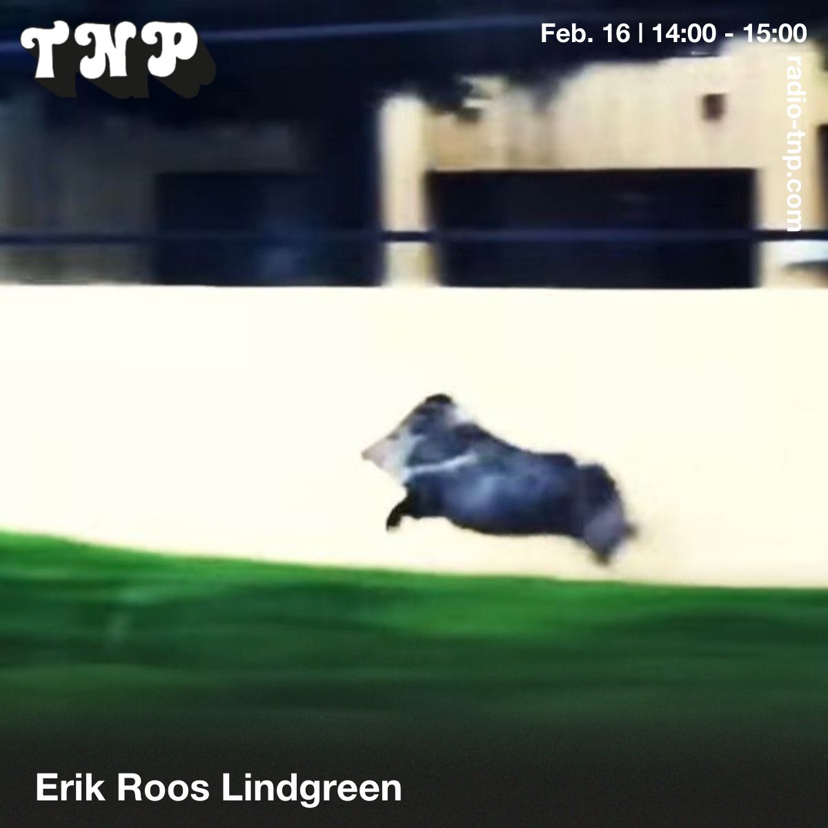 Erik Roos Lindgreen