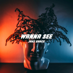 Wanna See