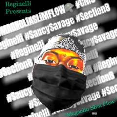 “Magnolia Slim Flow” feat. Saucy Savage & $ection🎱