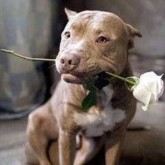 {-_-}y ((( Bermy Hip-Hop )))