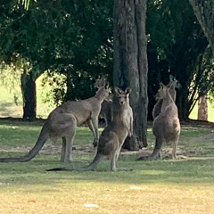 Started Out Thinking