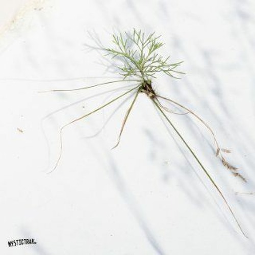 Re-Rooting (ft. Daryna Panas)