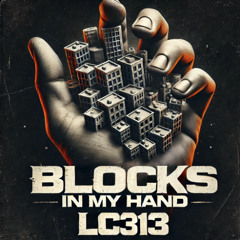LC313 - Blocks In My Hand