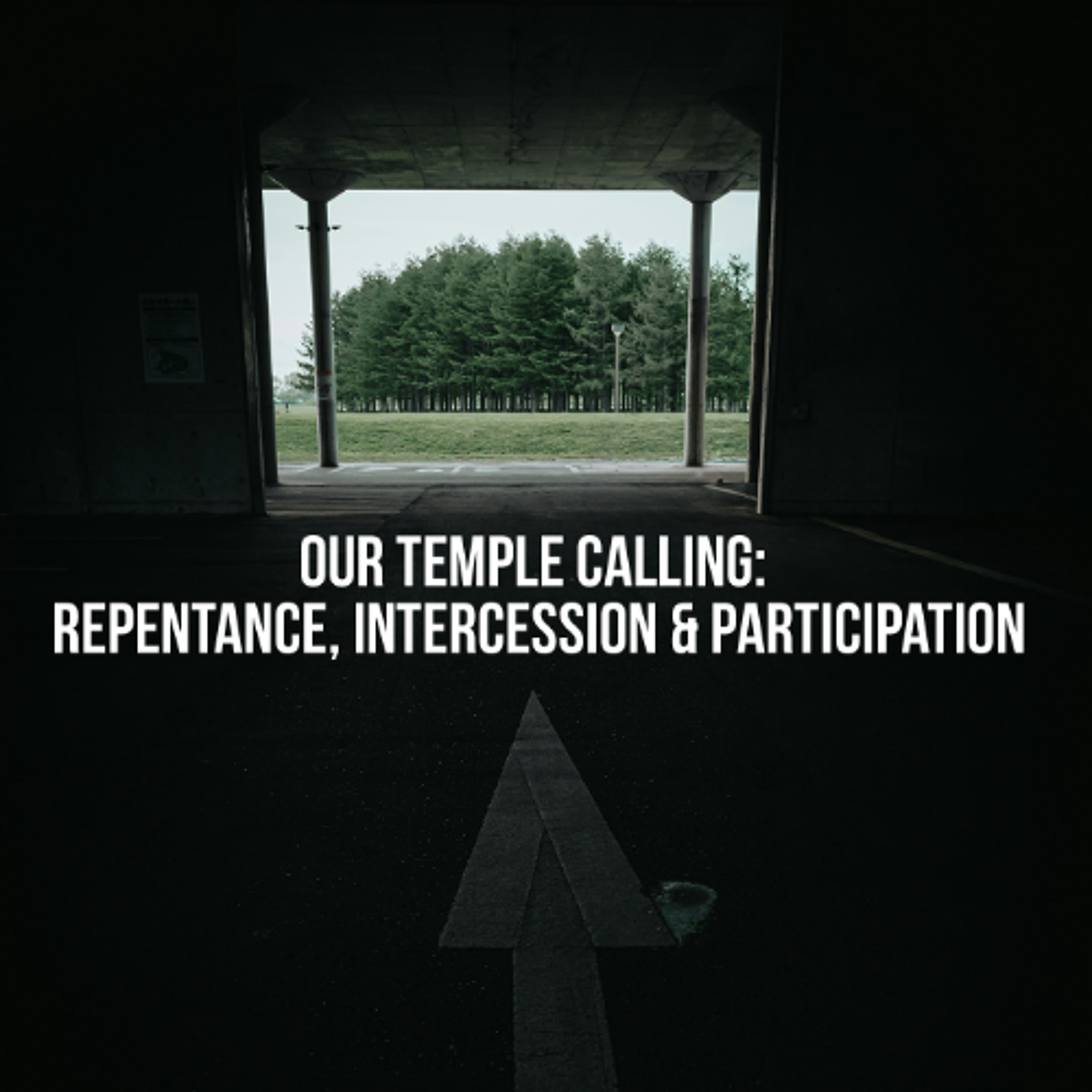 Our Temple Calling: Repentance, Intercession & Participation episode artwork