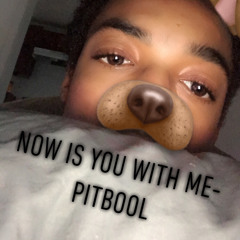 Now is you with me - Pitbool