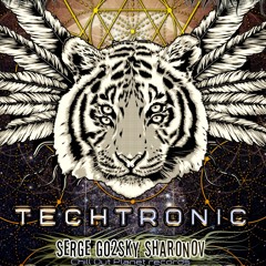 Go2Sky - Techtronic