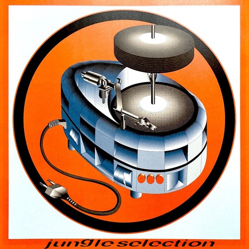 Room 3 - Jungle Selection