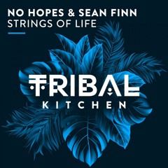 No Hopes & Sean Finn - Strings Of Life (Radio Edit)