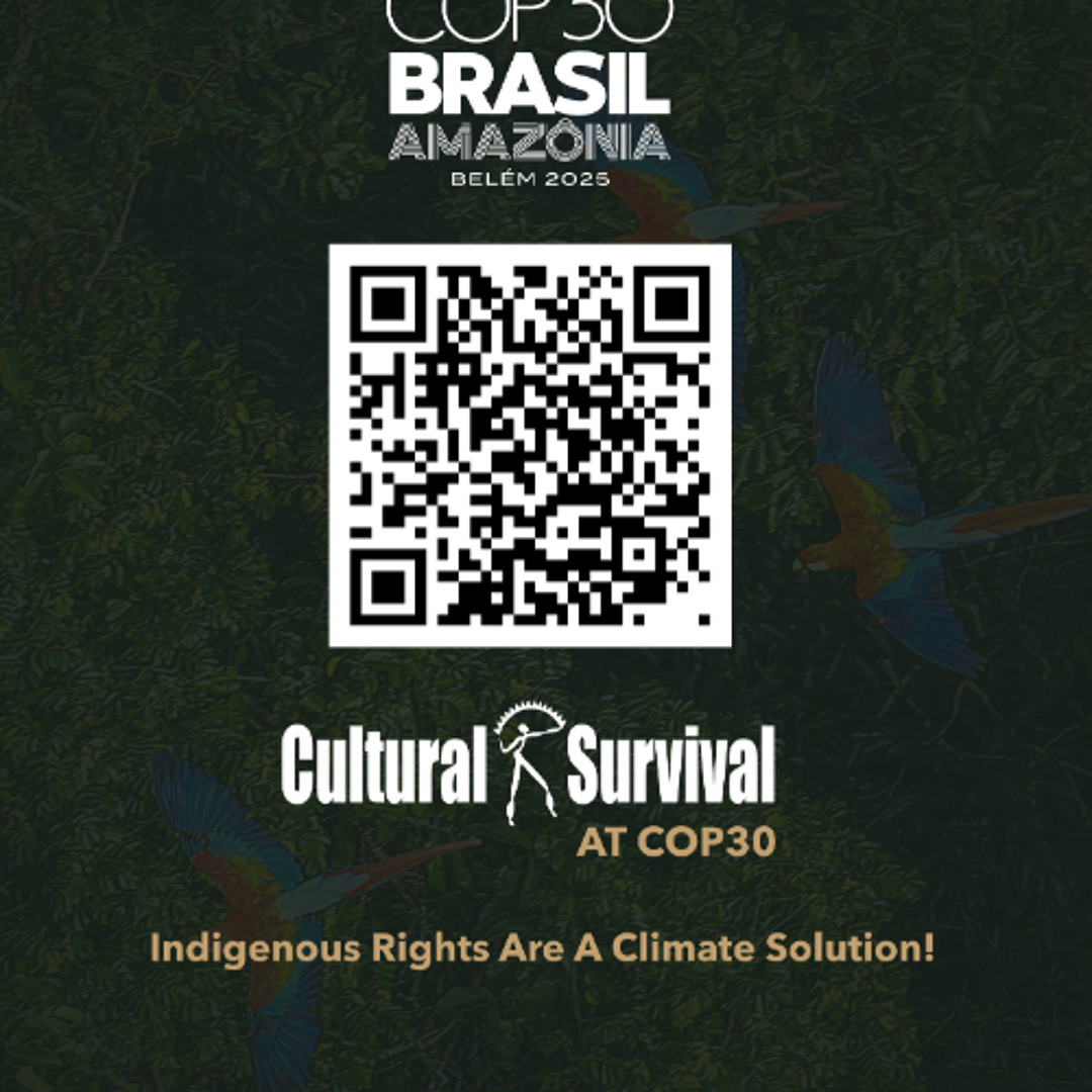 Stream Cultural Survival | Listen to Cultural Survival at COP30 ...