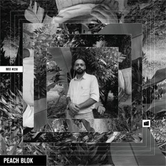 Wild City #238: Peach Blok