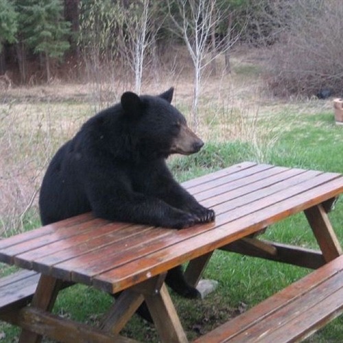 Titanic(prod.by sickboi)