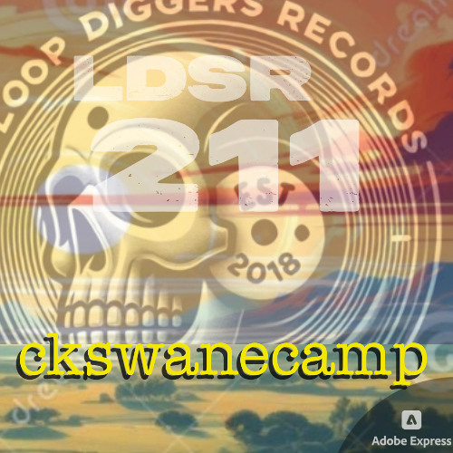 LDSR 2II - ckswanecamp