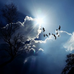 Dark Drama