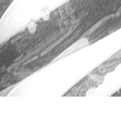 3-Audio 0001 [004620]