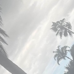 ☯︎ Waasp Island ☯︎ Ronald McDonald Hospital Mall Plaza Mix ☯︎