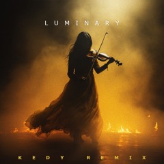 Joel Sunny - Luminary (KEDY Remix)