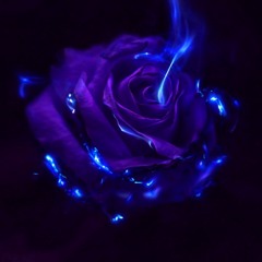 18Hunnidx3-Rxx. (Prod.1800)